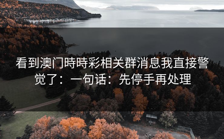看到澳门時時彩相关群消息我直接警觉了：一句话：先停手再处理
