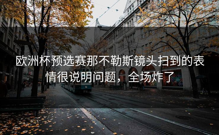 欧洲杯预选赛那不勒斯镜头扫到的表情很说明问题，全场炸了