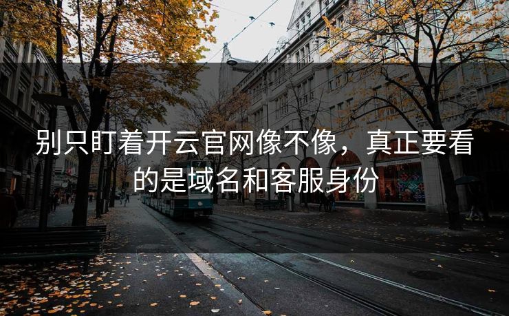 别只盯着开云官网像不像，真正要看的是域名和客服身份