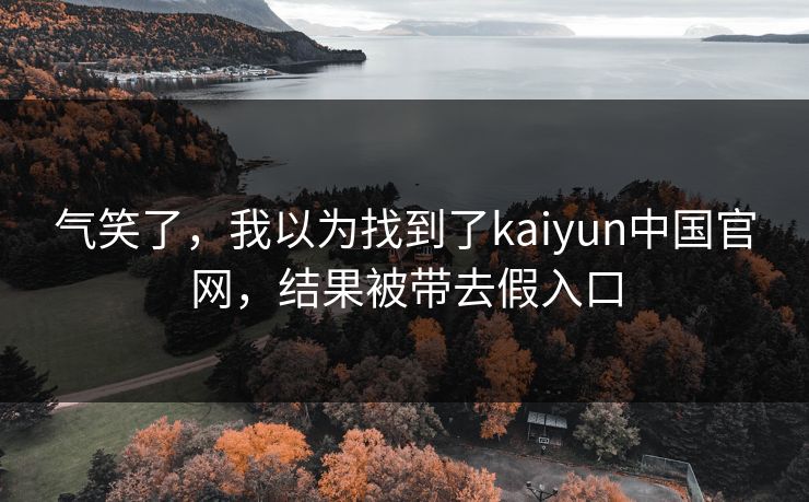气笑了，我以为找到了kaiyun中国官网，结果被带去假入口