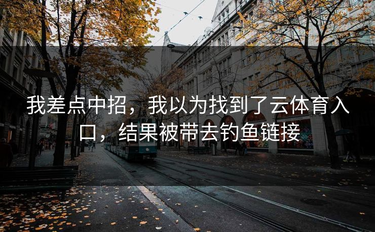 我差点中招，我以为找到了云体育入口，结果被带去钓鱼链接